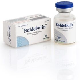 BOLDEBOLIN