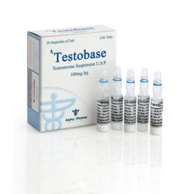 TESTOBASE