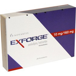 EXFORGE 10160