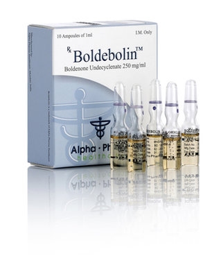 BOLDEBOLIN-AMP.jpg
