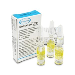 Buy SUSTANON 250 1ml x 1 AMP - ORGANON Online - Image 1